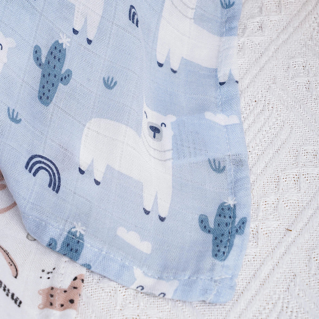 blanket