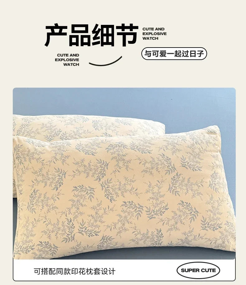 blanket