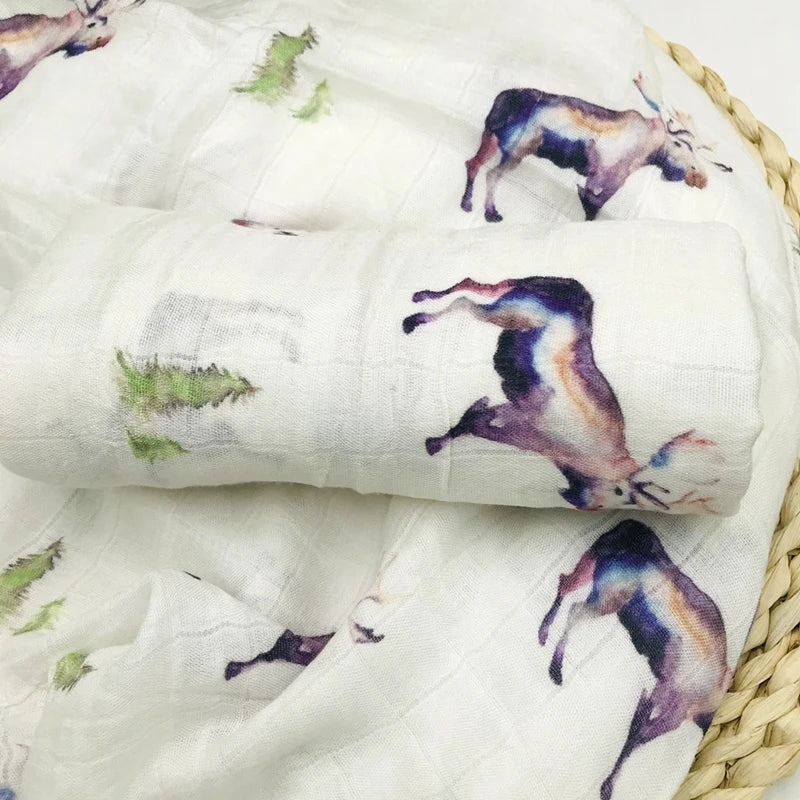 blanket
