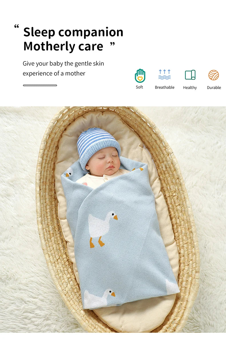 blanket