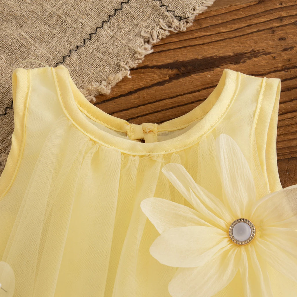 Baby Girl Pink Princess Dress