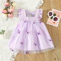 Baby Girl Mesh Princess Dress