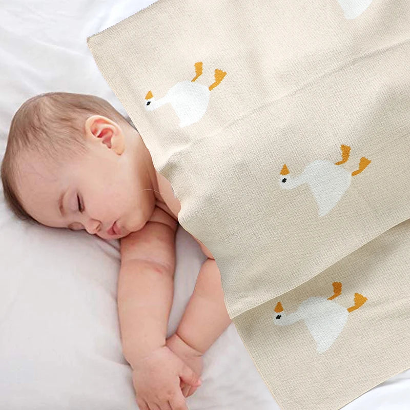 blanket