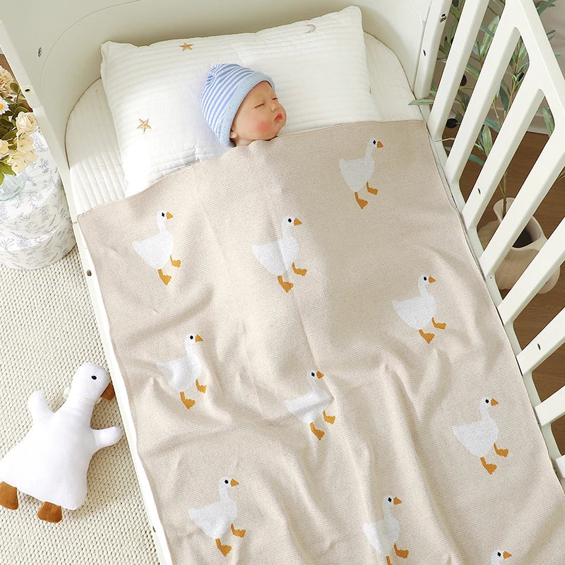 blanket