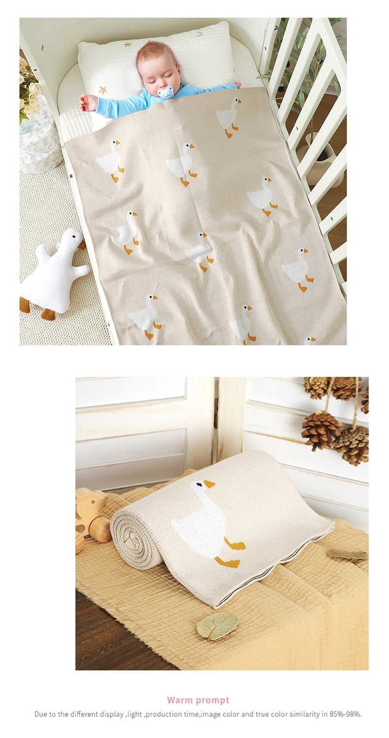 blanket