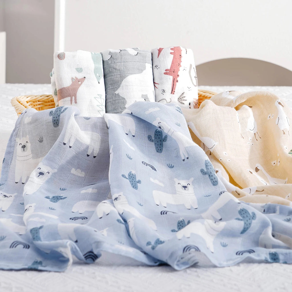 blanket
