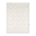blanket